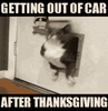IMG_20241128_140247.gif