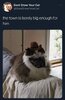 IMG_5287.jpeg