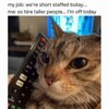 IMG_6543.jpeg