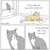 IMG_6688.jpeg