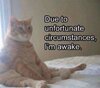 IMG_6933.jpeg
