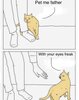 IMG_7785.jpeg
