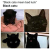 1738563489603.png