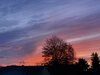 IMG_2144.jpeg