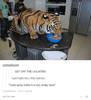 tellin-him-tell-him-holds-spray-bottle-very-shaky-hand-michaelblume-source-furything-626752-no...png