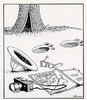 farside1.jpg