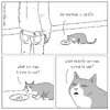 IMG_9242.jpeg