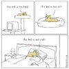 IMG_9665.jpeg