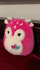 SquishmallowSquishmallowsGIF.gif