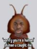 real.jpg