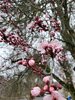 IMG_2367.jpeg