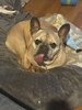 IMG_8790.jpeg