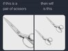 scissors.jpeg