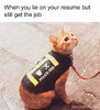 bafkreigc7cv63r2lkiunpg4jegqsr6gskkumqc67gtjrfhq4hswsn6sfbq.jpg