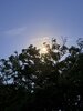 IMG_2876.jpeg