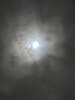 IMG_2921.jpeg