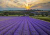 Castle Farm, Kent.jpg