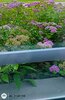 IMG_20250629_201923931_HDR~3.jpg
