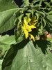 IMG_2693.jpeg