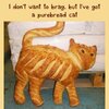 IMG_0350.jpeg