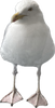 EEDCAC79-35BC-4749-A19C-CA37BDD82342.png