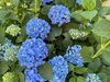 IMG_2701.jpeg