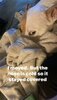 IMG_6251.jpeg