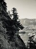 image000002.jpeg