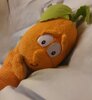carrot.JPEG
