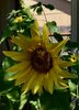 IMG_2742.jpeg