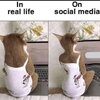 IMG_1934.jpeg