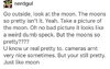 moon.jpg
