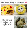 cute.jpg