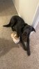 IMG_8489.jpeg