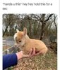 1762272694176.jpeg