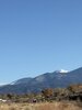 IMG_7162.jpeg
