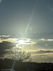 IMG_7102.jpeg