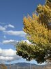 IMG_7032.jpeg