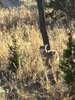 IMG_6990.jpeg