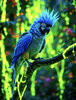 3A0A3102-37C3-40B9-B282-F8F7DAFCE535.jpeg