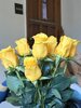 IMG_7547.jpeg