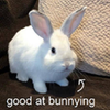1767312730992.png