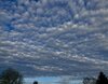 IMG_3715.jpeg