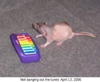 1776093916287.png