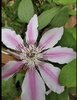 IMG_3795.jpeg