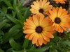 IMG_3848.jpeg