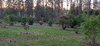 20260520_202621.jpg