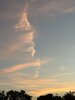 IMG_0256.jpeg