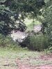 IMG_0269.jpeg
