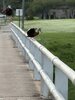 IMG_0277.jpeg